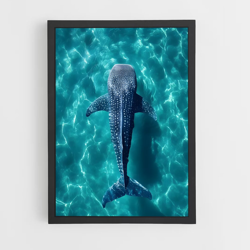 ap-whale shark-5 cadre Noir