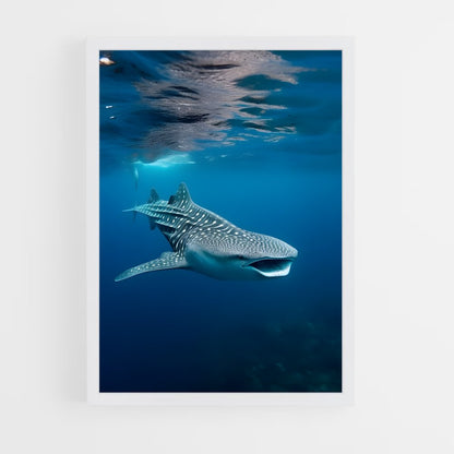 ap-whale shark-6 cadre Blanc