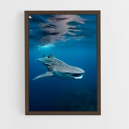 ap-whale shark-6 cadre Bois foncé