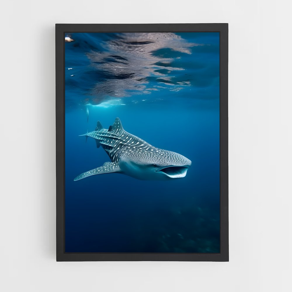ap-whale shark-6 cadre Noir
