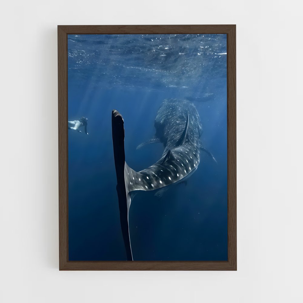ap-whale shark-7 cadre Bois foncé