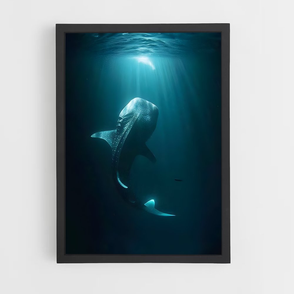 ap-whale shark-8 cadre Noir
