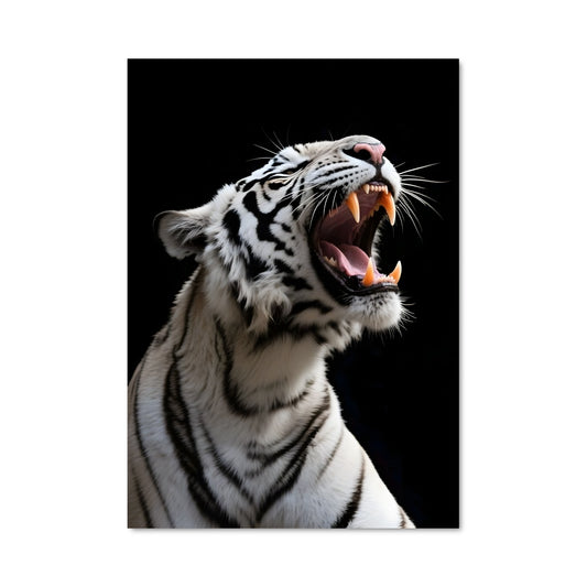 Poster Tigre des Neiges