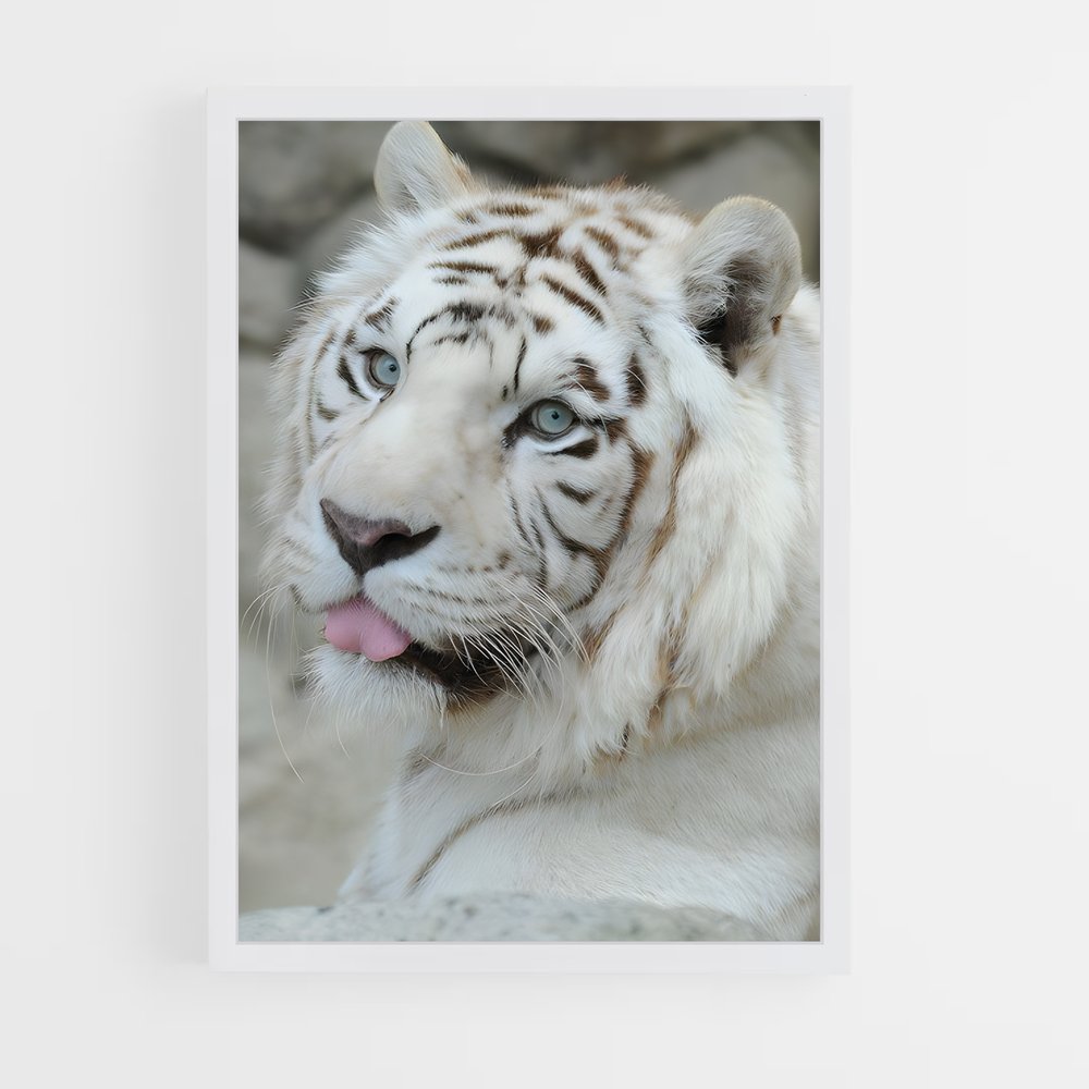 ap-white tiger-12 cadre Blanc