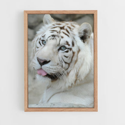 ap-white tiger-12 cadre Bois clair