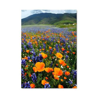 Poster Champs de Fleurs Éternelles
