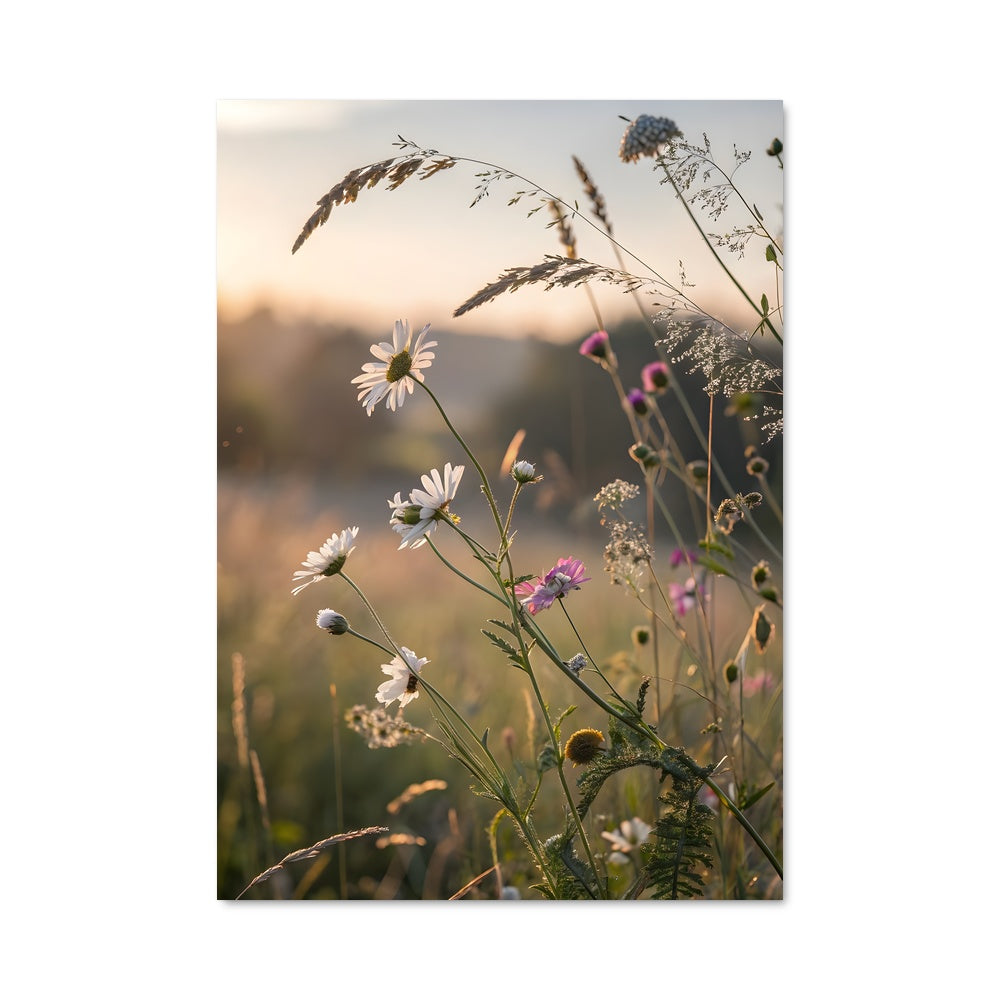Poster Wildflower field 97413