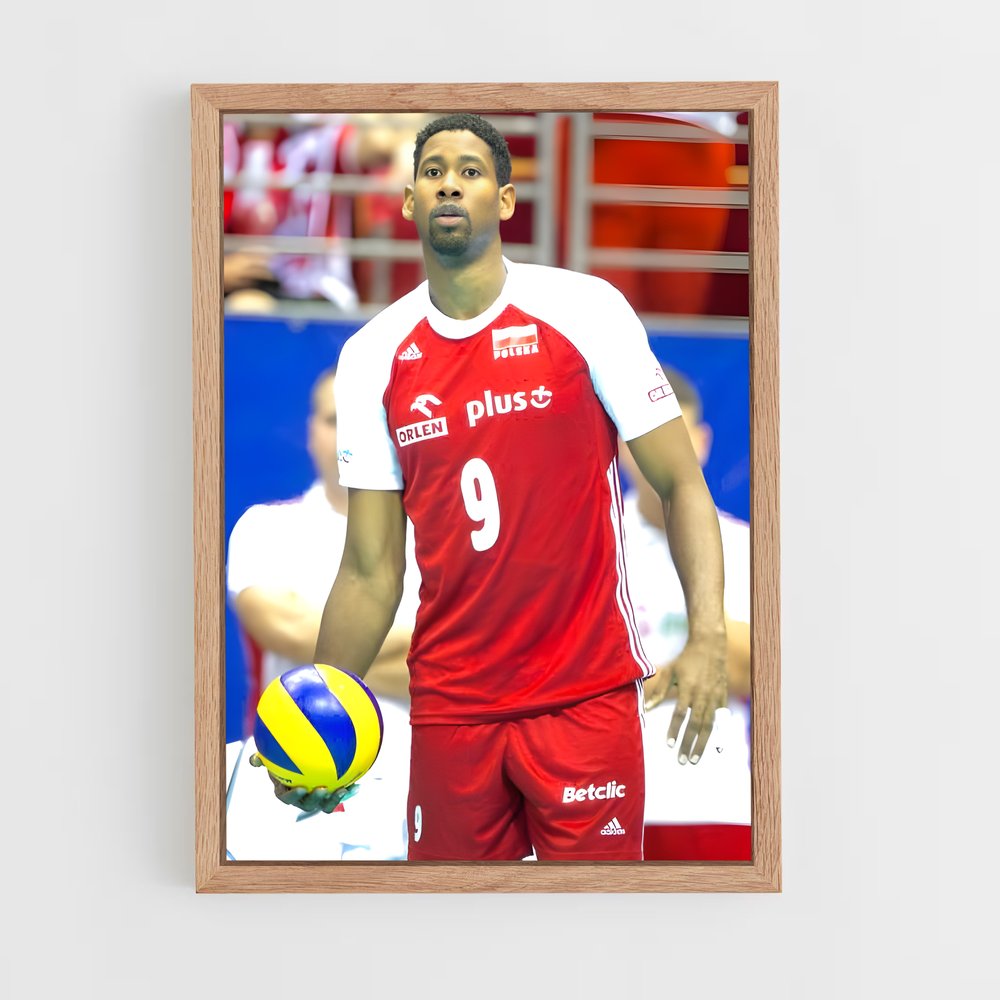 ap-wilfredo leon-2 cadre Bois clair