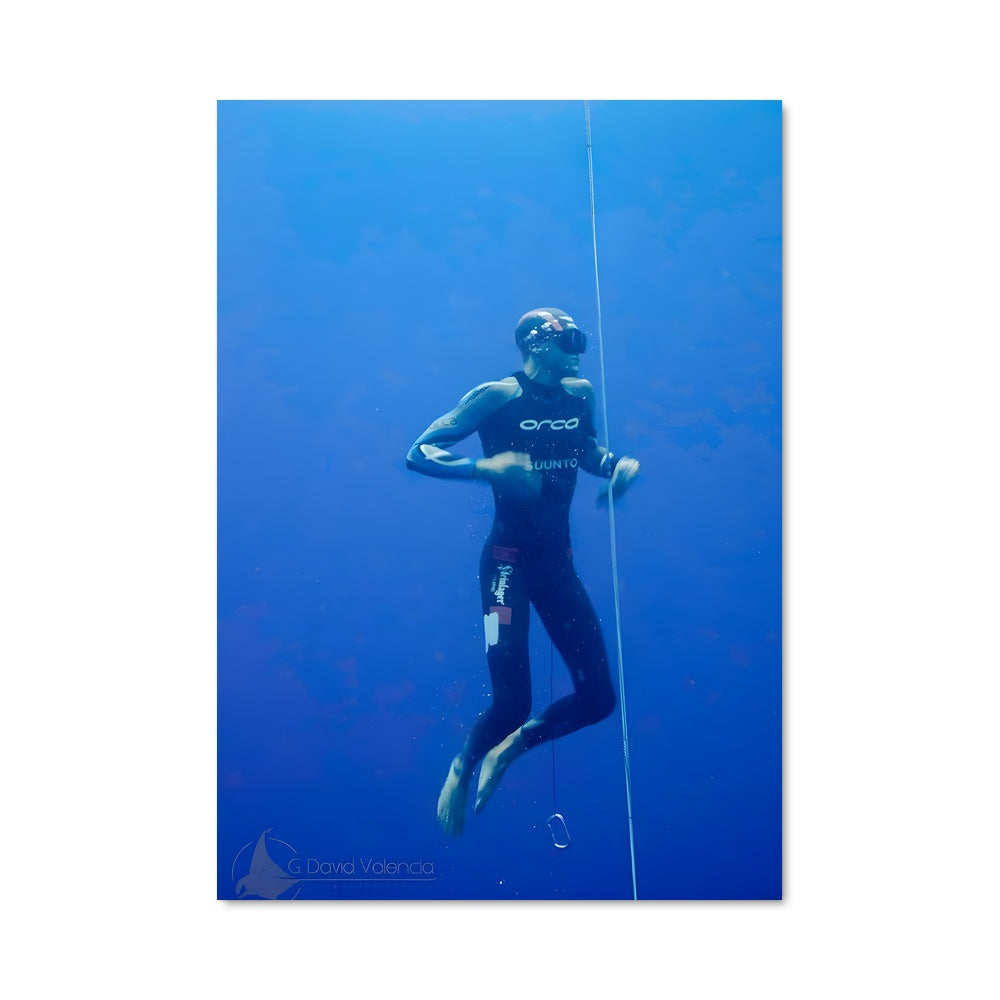 Poster William trubridge 67516