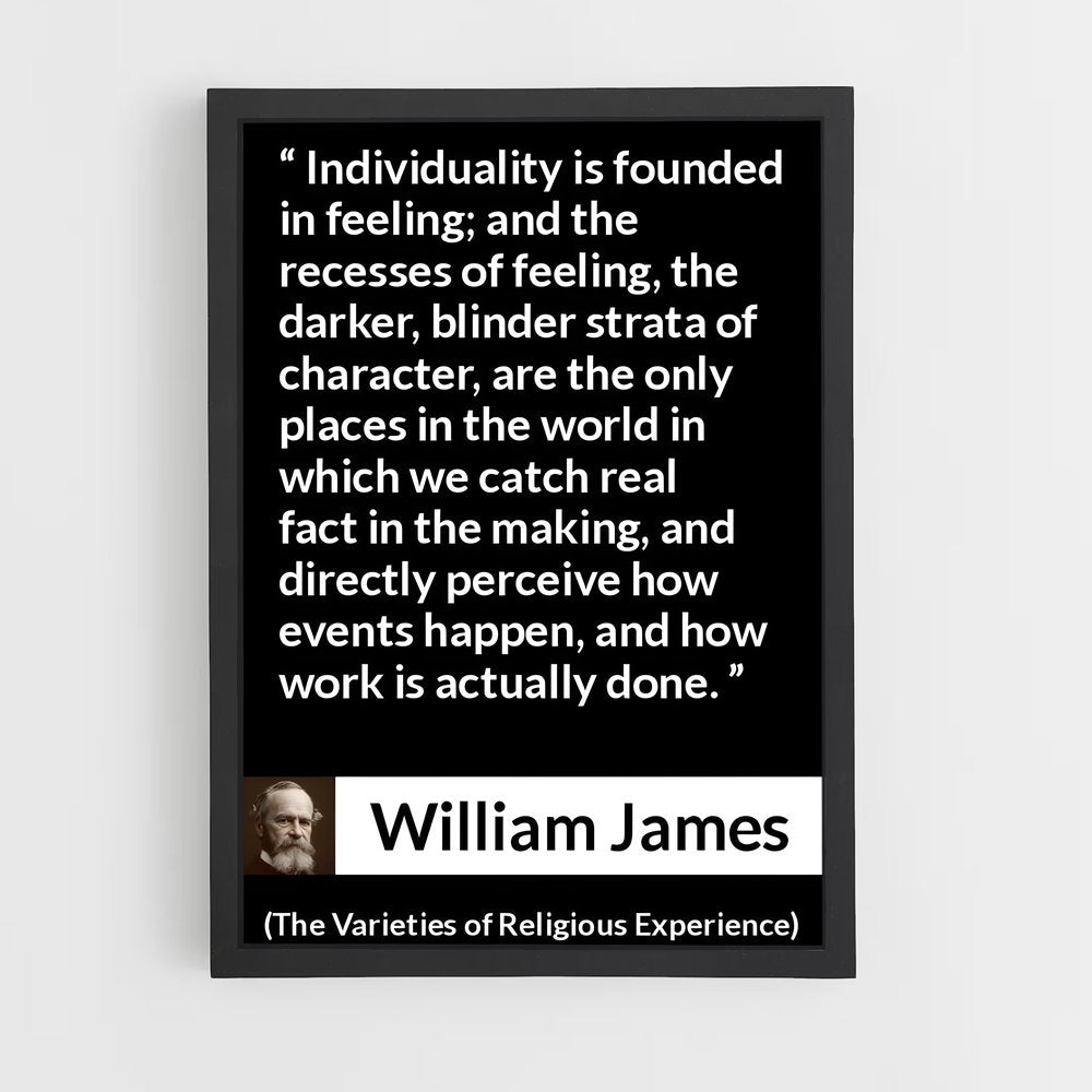 ap-william james-12 cadre Noir
