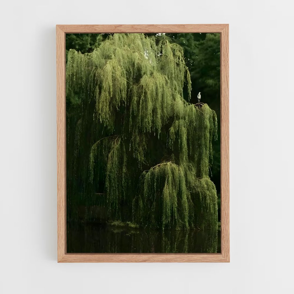 ap-willow-5 cadre Bois clair