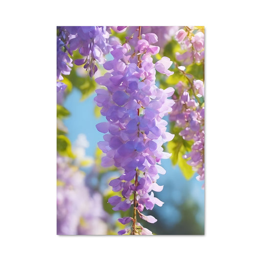 Poster Fleur de Wisteria