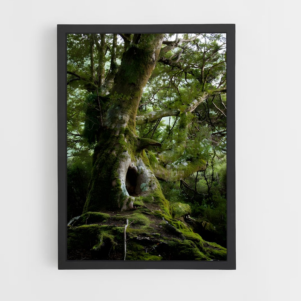 ap-woodland-6 cadre Noir