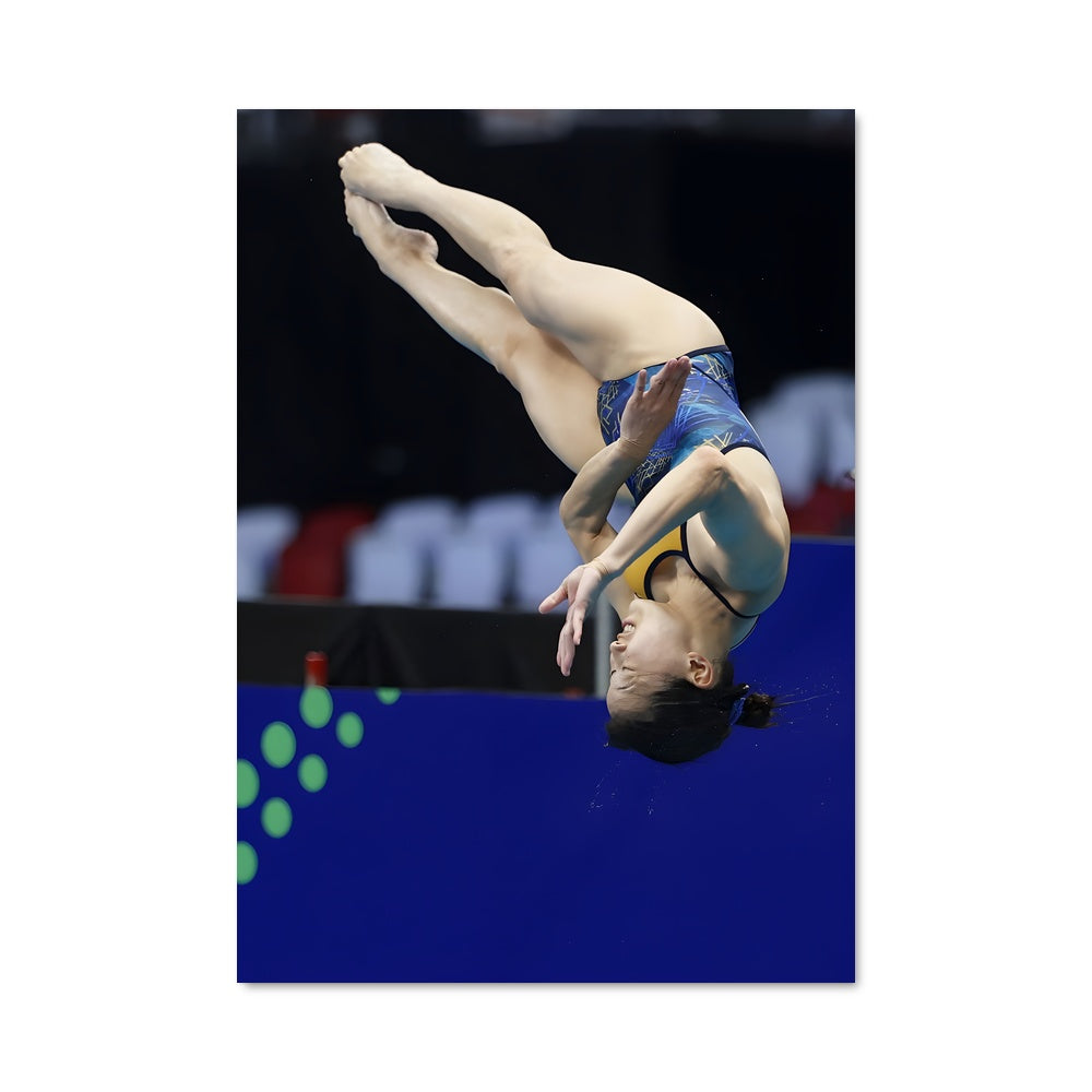 Poster World aquatics springboard 68213