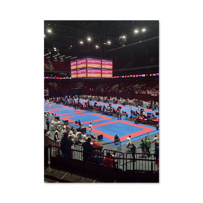 Poster World karate championships 61836