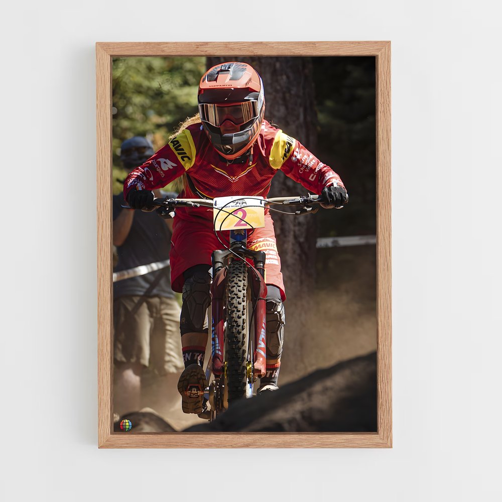 ap-world enduro series-1 cadre Bois clair