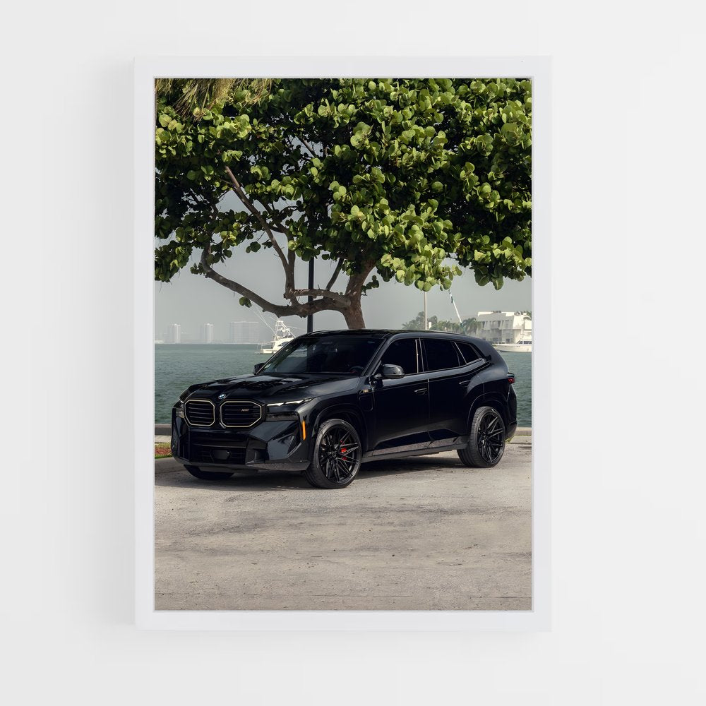 ap-x4m-2 cadre Blanc