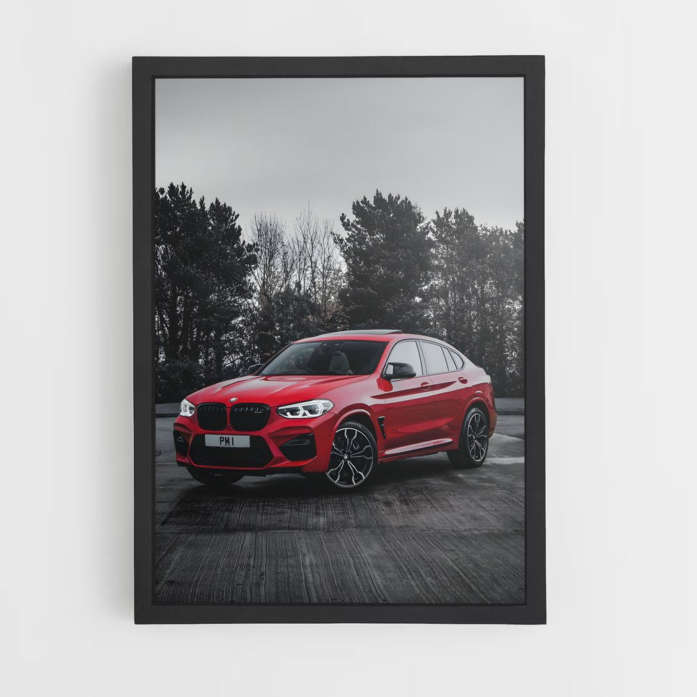ap-x4m competition-1 cadre Noir