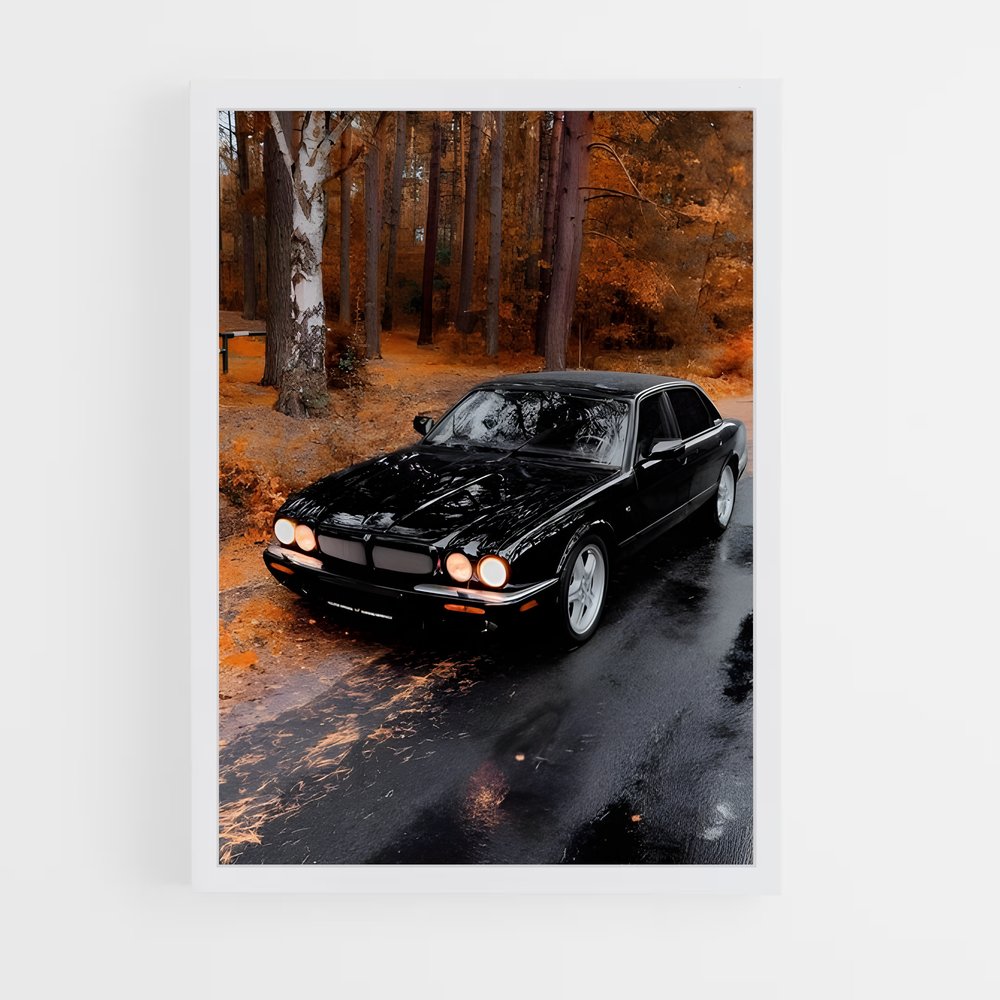 ap-xjr-1 cadre Blanc