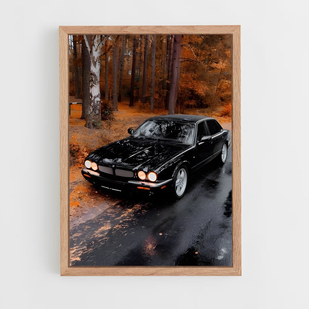 ap-xjr-1 cadre Bois clair