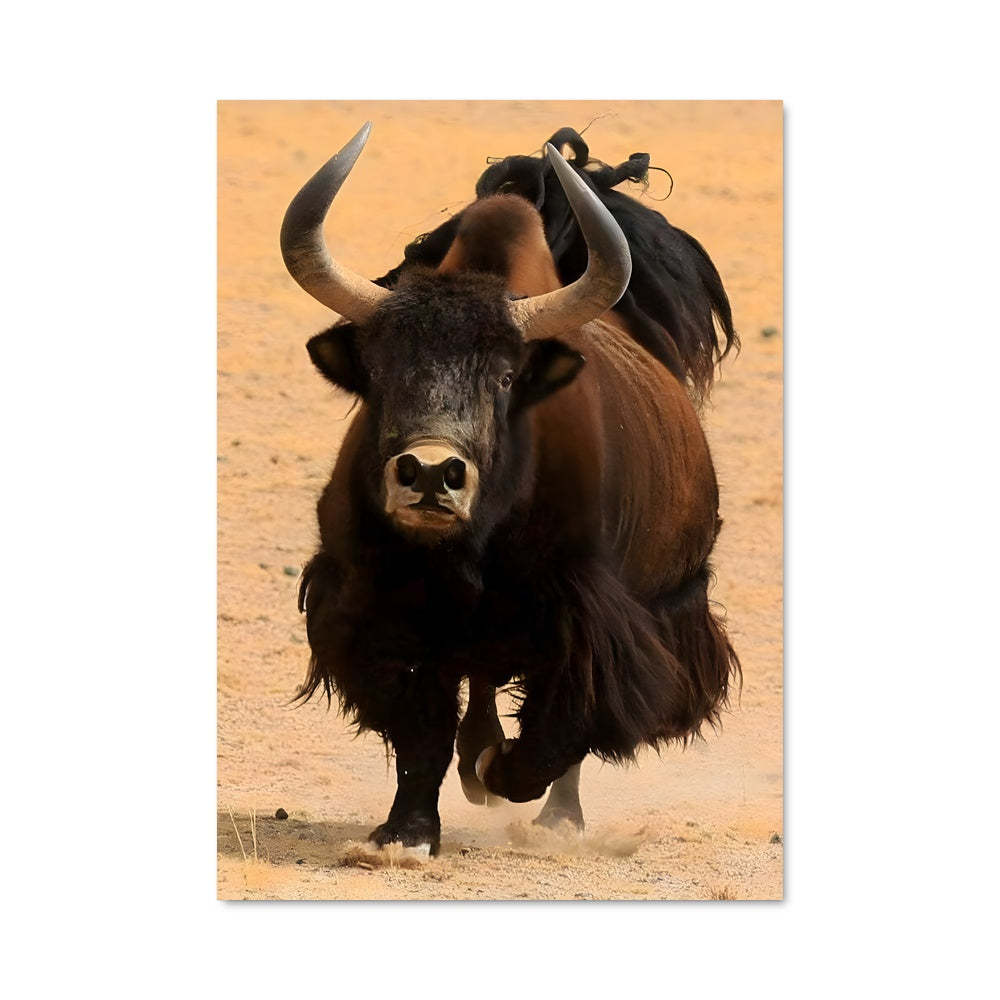 Poster Bison en Fuite