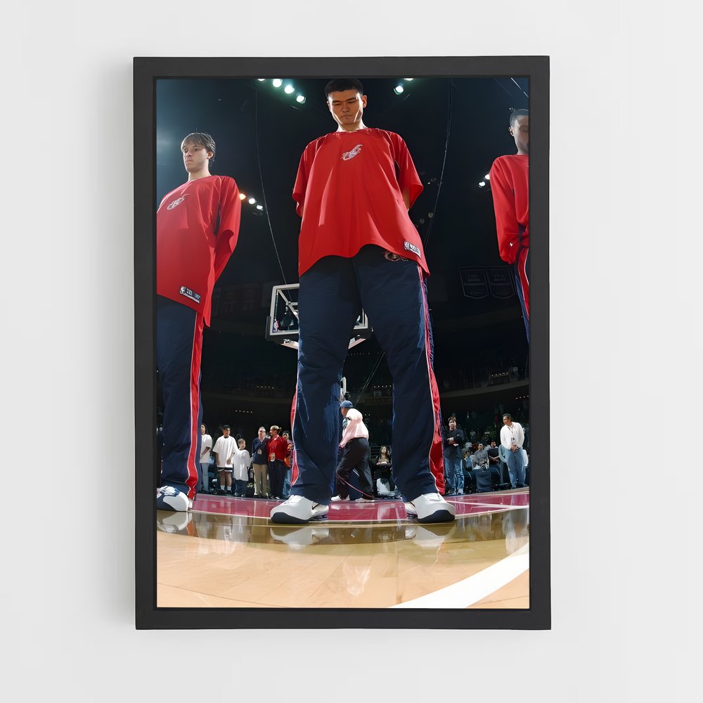 ap-yao ming-3 cadre Noir