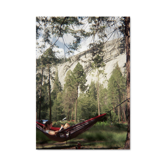 Poster L'Homme dans la Vallée