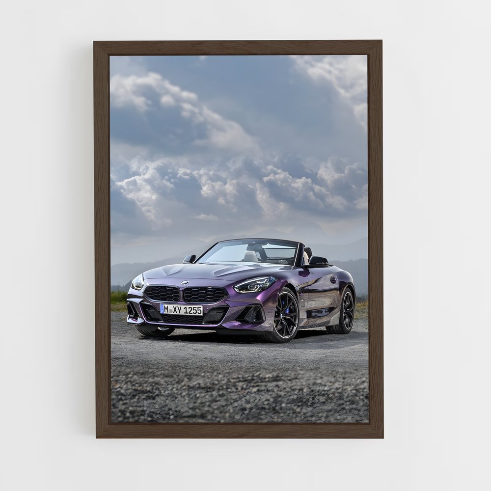 ap-z4 m40i-1 cadre Bois foncé