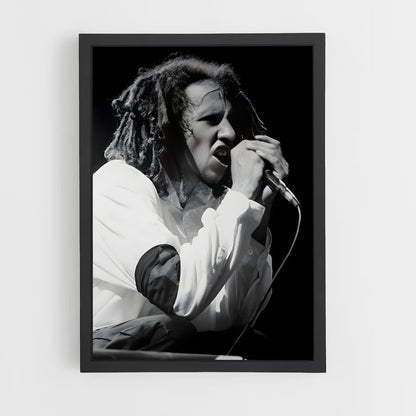 ap-zack de la rocha-6 cadre Noir