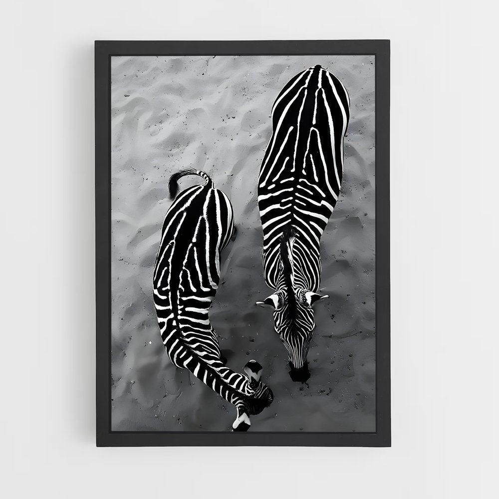 ap-zebra-4 cadre Noir