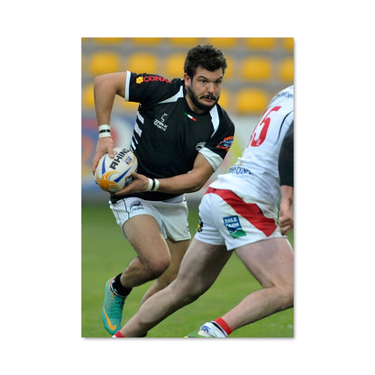 Poster Zebre 74879