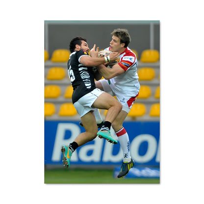 Poster Zebre 74887