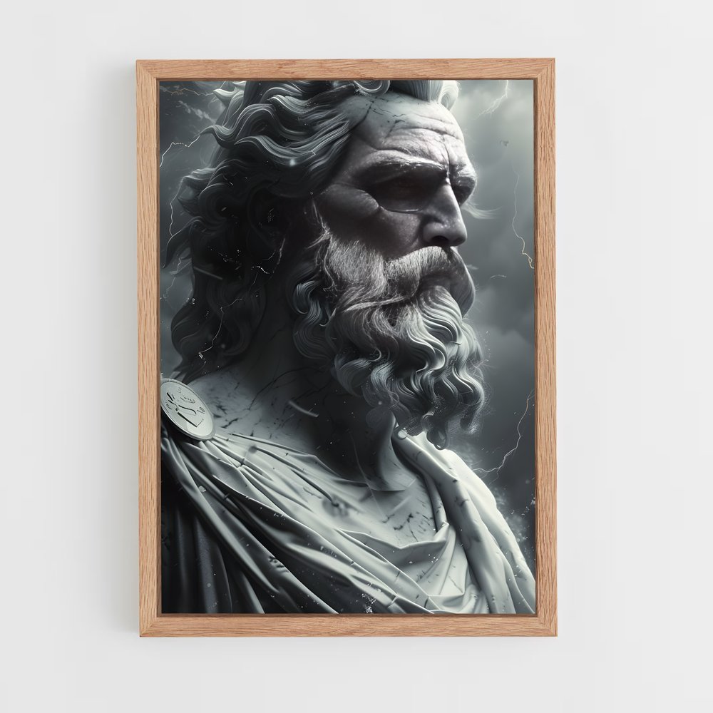 ap-zeus-5 cadre Bois clair