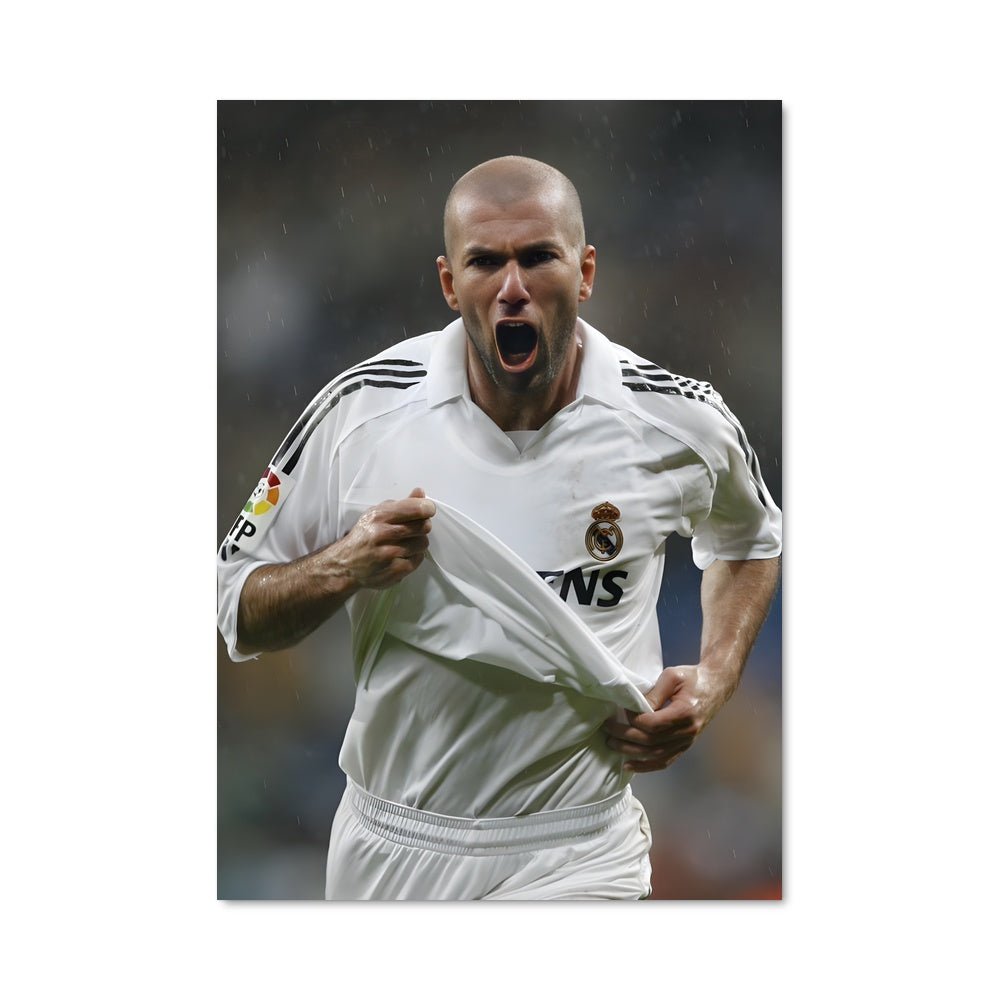 Poster La Célébration de Zidane
