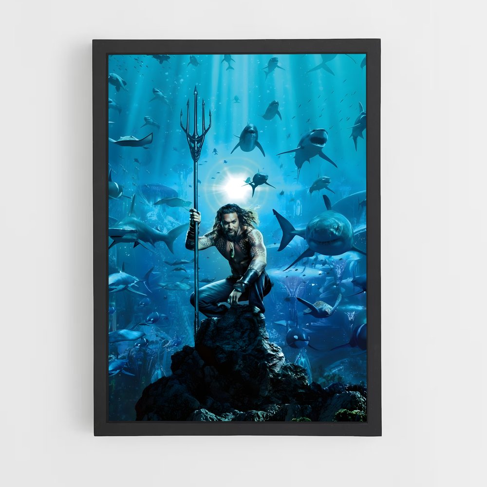 aquaman-1 cadre Noir