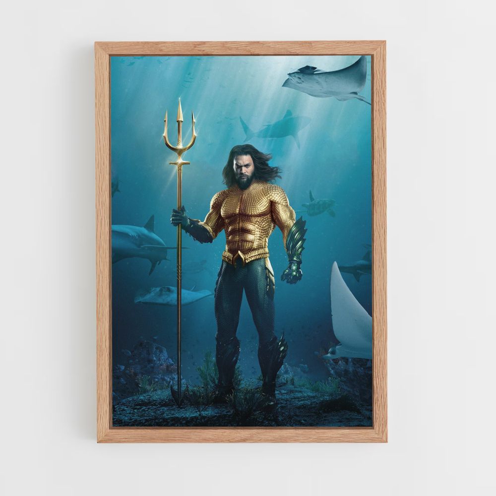 Locandina del costume di Aquaman