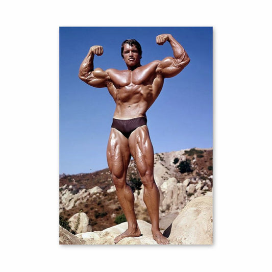 Poster Doppio bicipite di Arnold