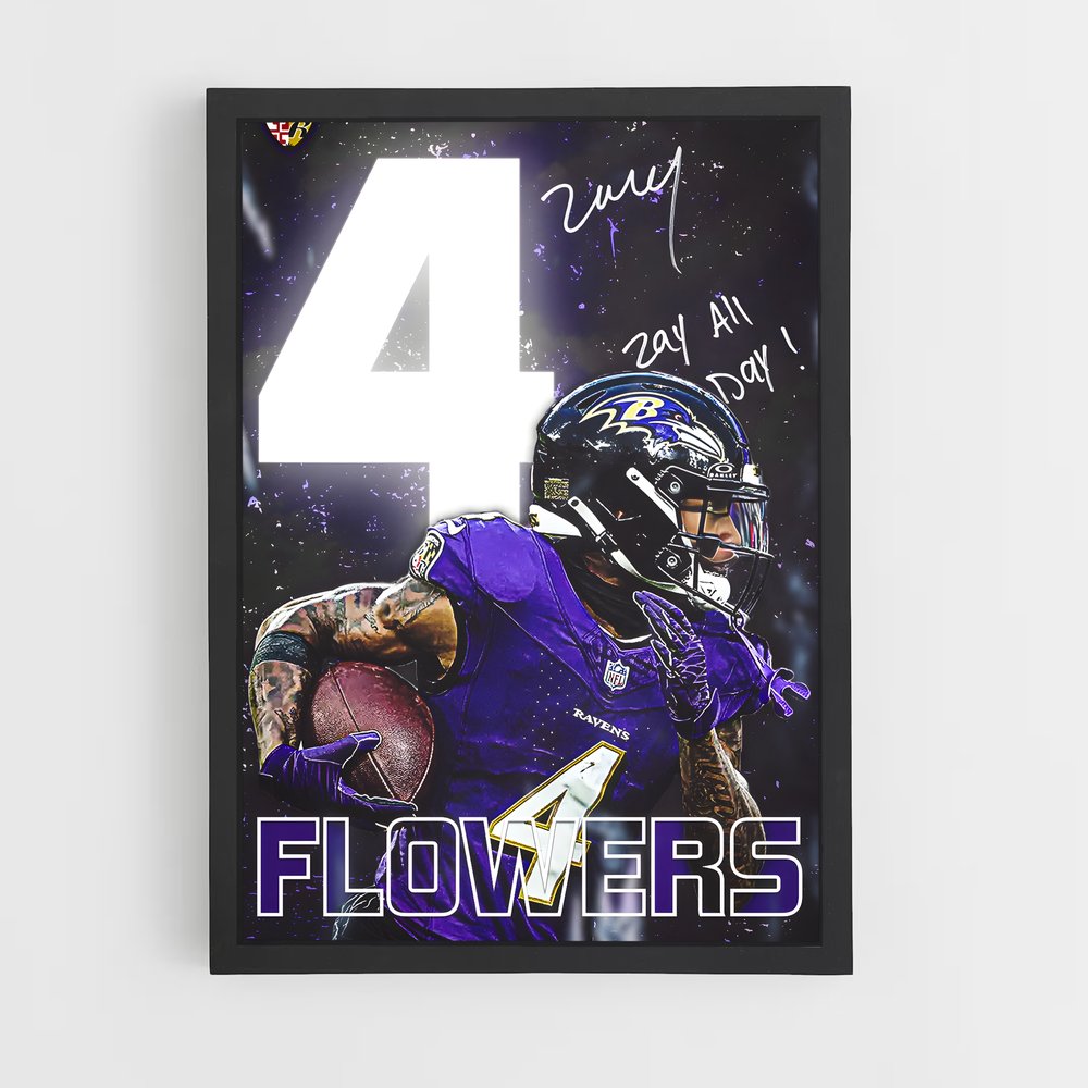 baltimore-ravens-2 cadre Noir