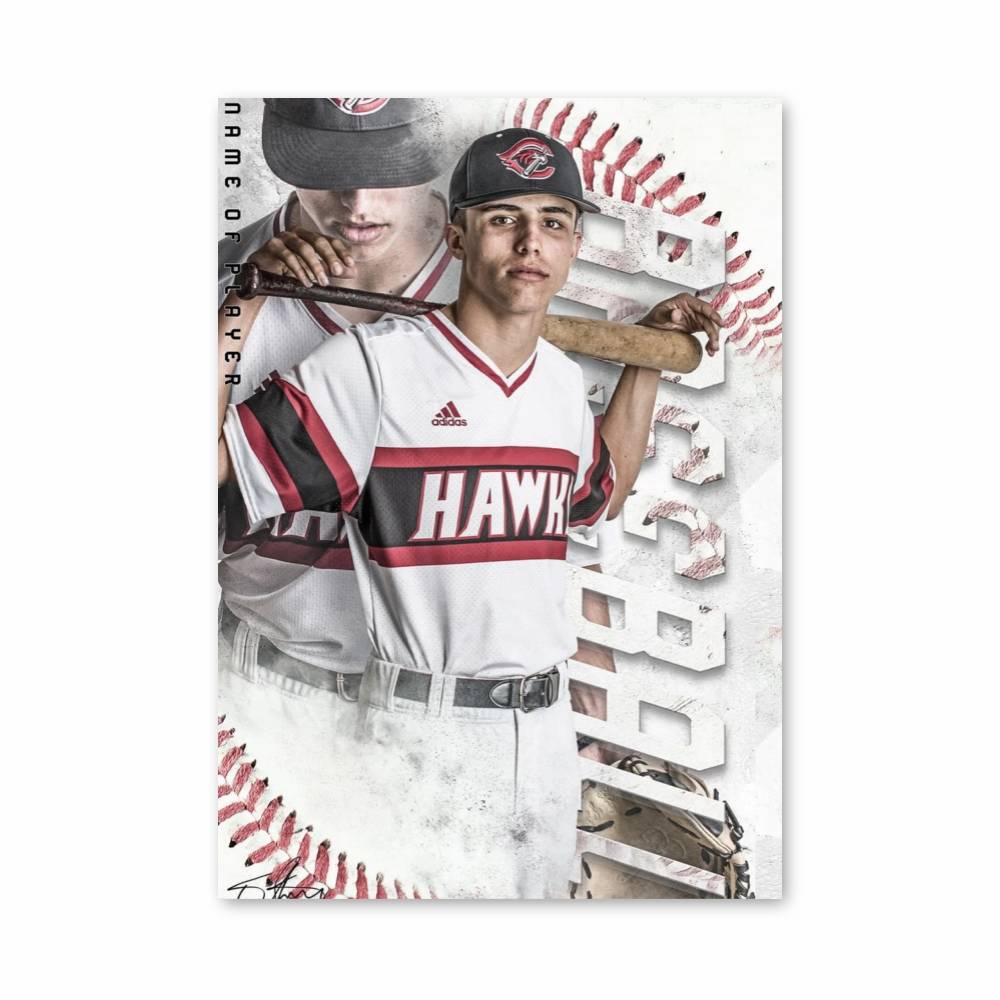 Poster Baseball Hawk