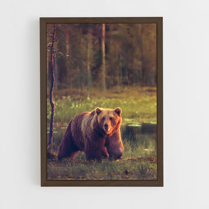 bear-3 cadre Bois foncé