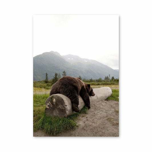 Manifesto dell'orso grizzly