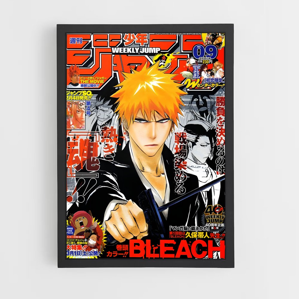 bleach-2 cadre Noir
