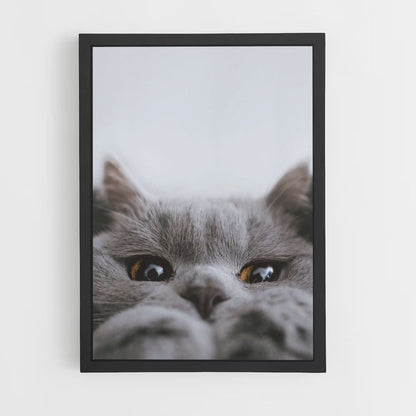 Poster di gatto carino