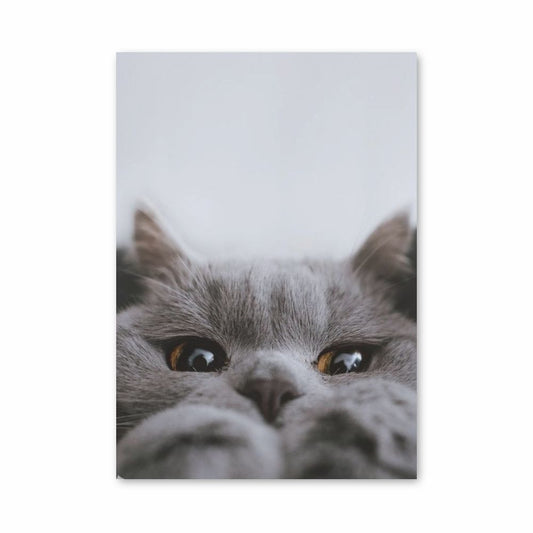 Poster di gatto carino