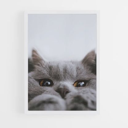 Poster di gatto carino