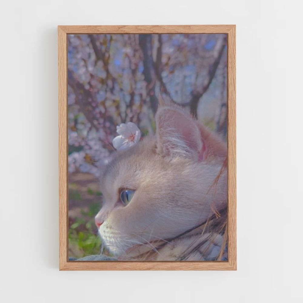 Poster del gatto Sakura