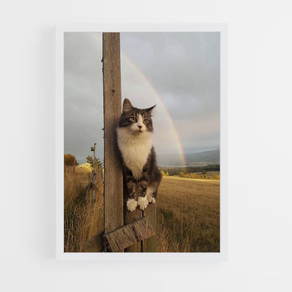 Poster del gatto arcobaleno