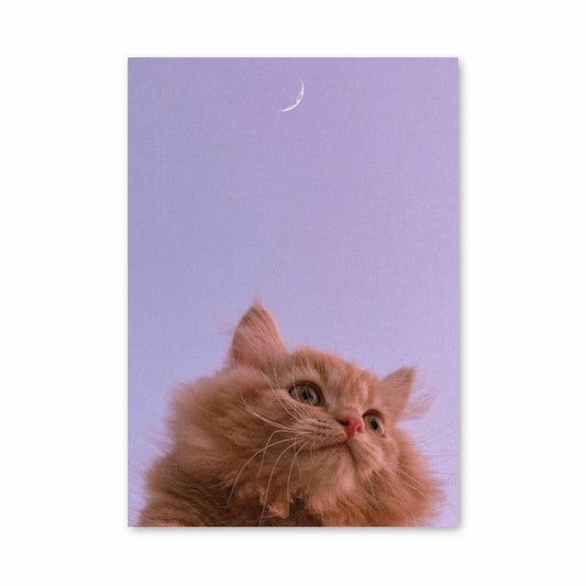 Poster Gatto Luna