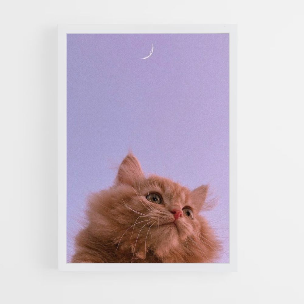 Poster Gatto Luna