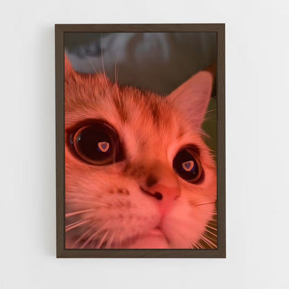cat-6 cadre Bois foncé